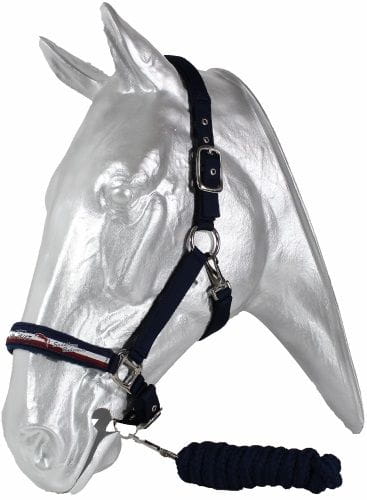 40470modro_erven_.jpg