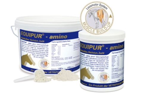 equipur-suplement-na-miesnie