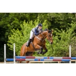 eric-thomas-pro-elastics-for-hunting-breastplate (4).jpg