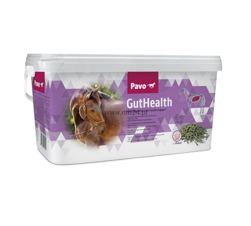 suplement wspierający układ trawienny i prace jelit Pavo GutHealth