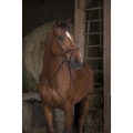 Norton-wodze-Pro-Rubber-13-mm