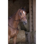Norton-napiersnik-z-wytokiem-Pro-Elastic