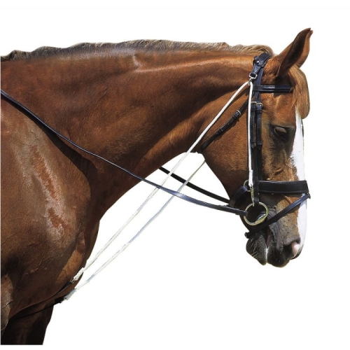 Norton-chambon