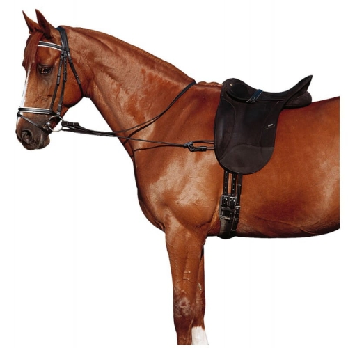 adjustable-training-aid.jpg