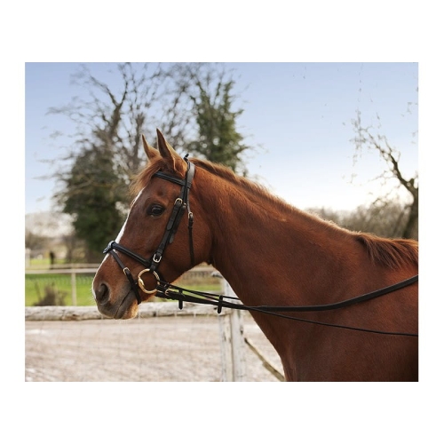 elastic-training-reins.jpg