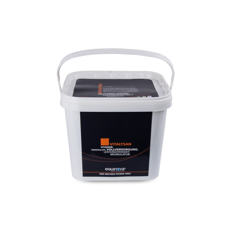 equinova-vitalysan-.jpg