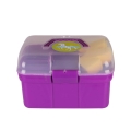 qhp-zestaw-szczotek-pony-power-purple