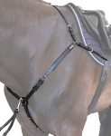 2132_na_koni.png
