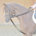 Czarna wodza Kavalkade parciana