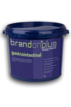 Brandon Plus Gastrointestinal