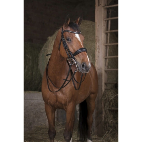 Norton-wodze-skorzane-Pro-13-mm