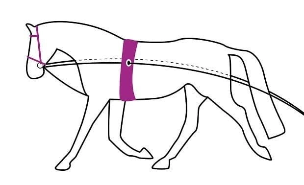 QHP-Podwojna-lonza-Double