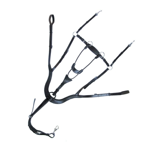 napiersnik-kavalkade-caya