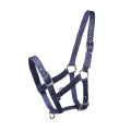 kantar-zrebiecy-start-foal