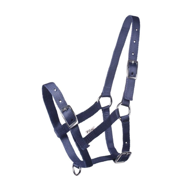 kantar-zrebiecy-start-foal