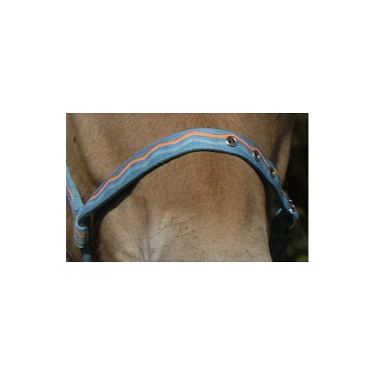 foal-nylon-headcollar (4).jpg