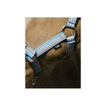 foal-nylon-headcollar (3).jpg