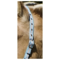 foal-nylon-headcollar (2).jpg