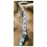 foal-nylon-headcollar (2).jpg