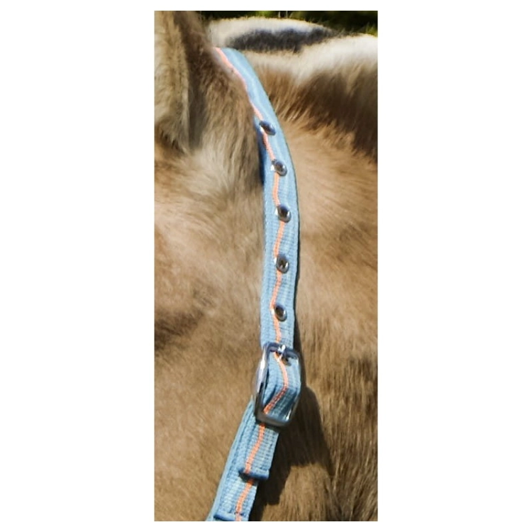 foal-nylon-headcollar (2).jpg