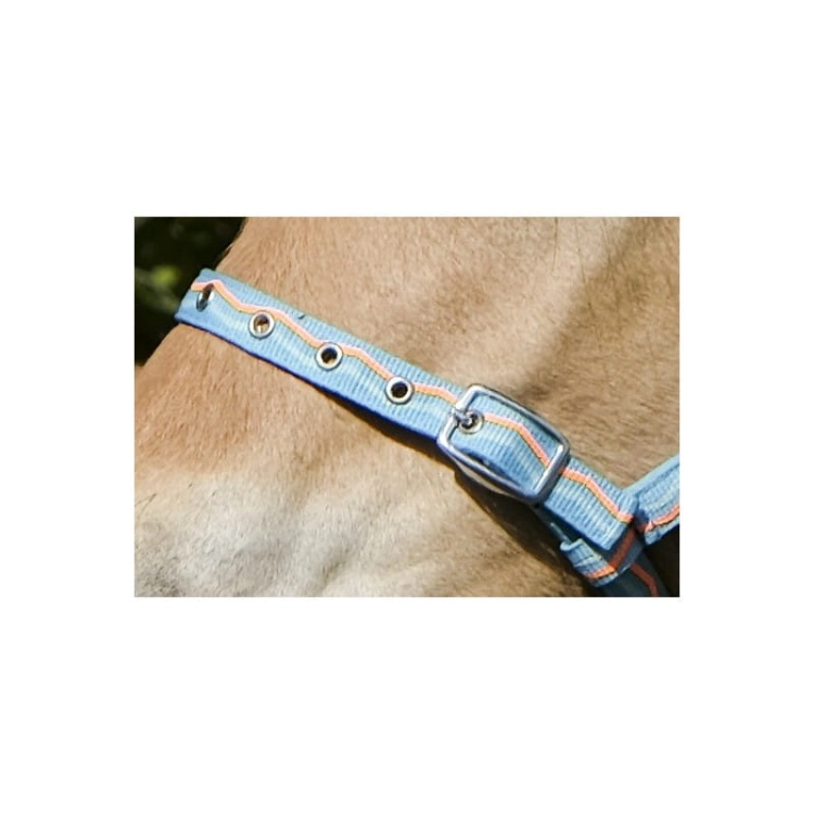 foal-nylon-headcollar (1).jpg