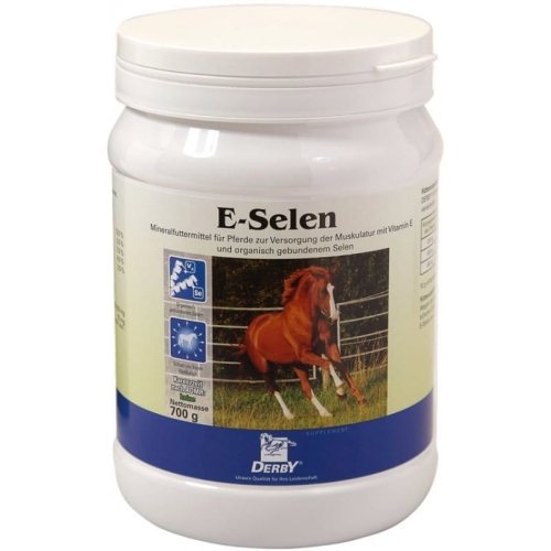 derby-e-selen.jpg