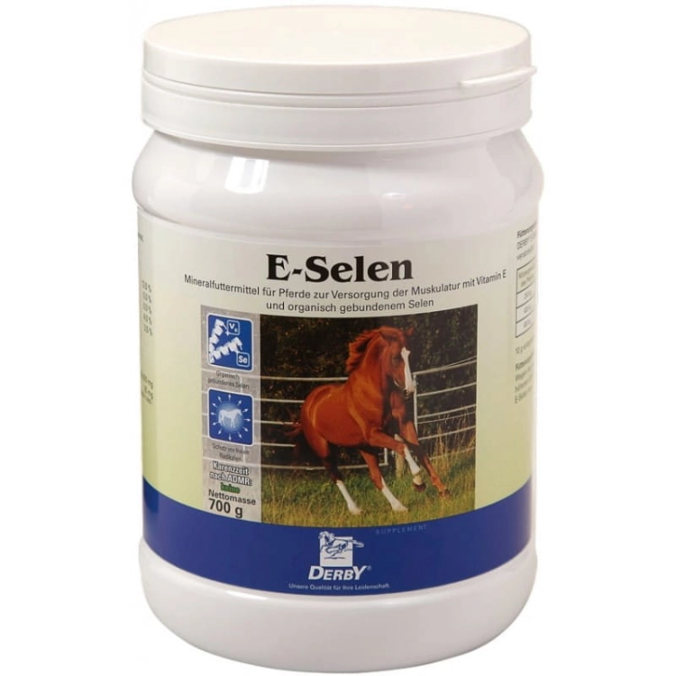 derby-e-selen.jpg