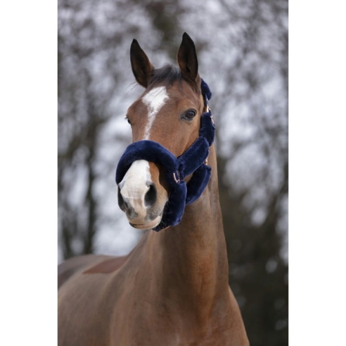 Kantar Equi Theme "Teddy Rosegold"