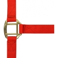 Norton-kantar-Nylon