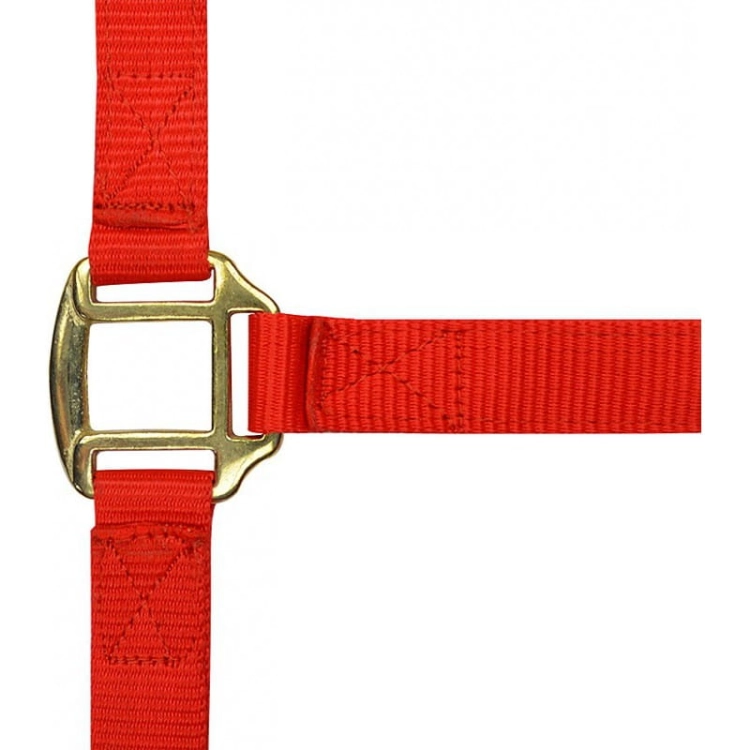 Norton-kantar-Nylon