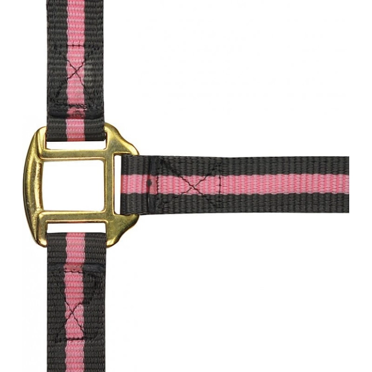 Norton-kantar-Nylon