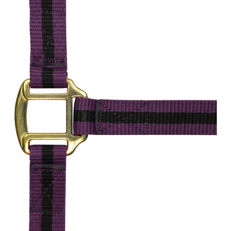 Norton-kantar-Nylon