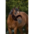 Komplet futerek na kantar Equi Theme Teddy