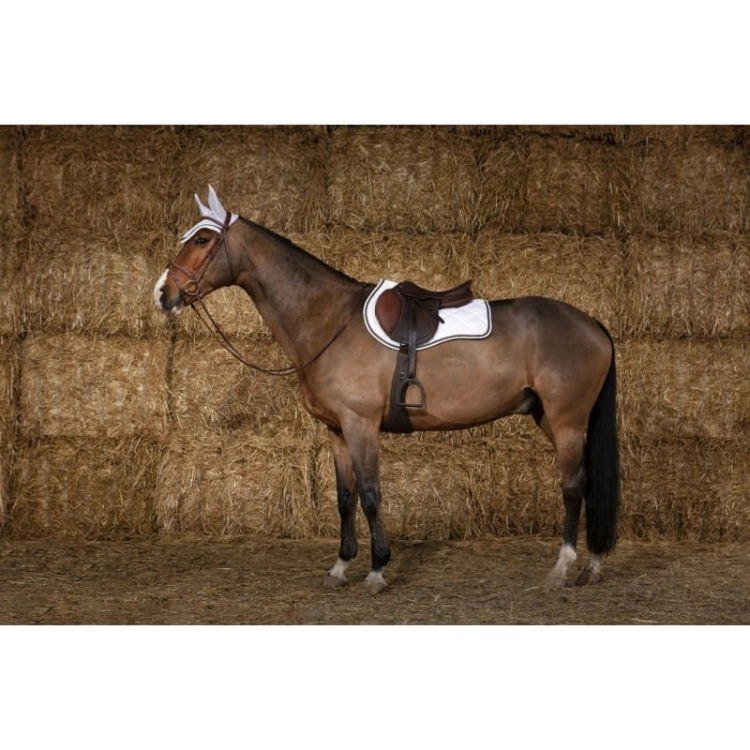 equitheme-infinity-saddle-pad 5.jpg