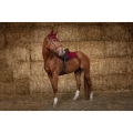equitheme-infinity-saddle-pad 7.jpg