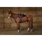 equitheme-funny-saddle-pad (5).jpg