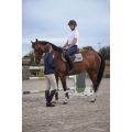equitheme-lewis-t-shirt.jpg