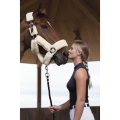 Kantar Equi Theme Teddy