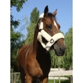 equitheme-teddy-halter (2).jpg