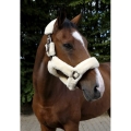 equitheme-teddy-halter (5).jpg