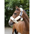 equitheme-teddy-halter (6).jpg