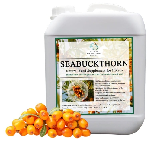 rokitnik-bsc-seabuckthorn-5l.jpg