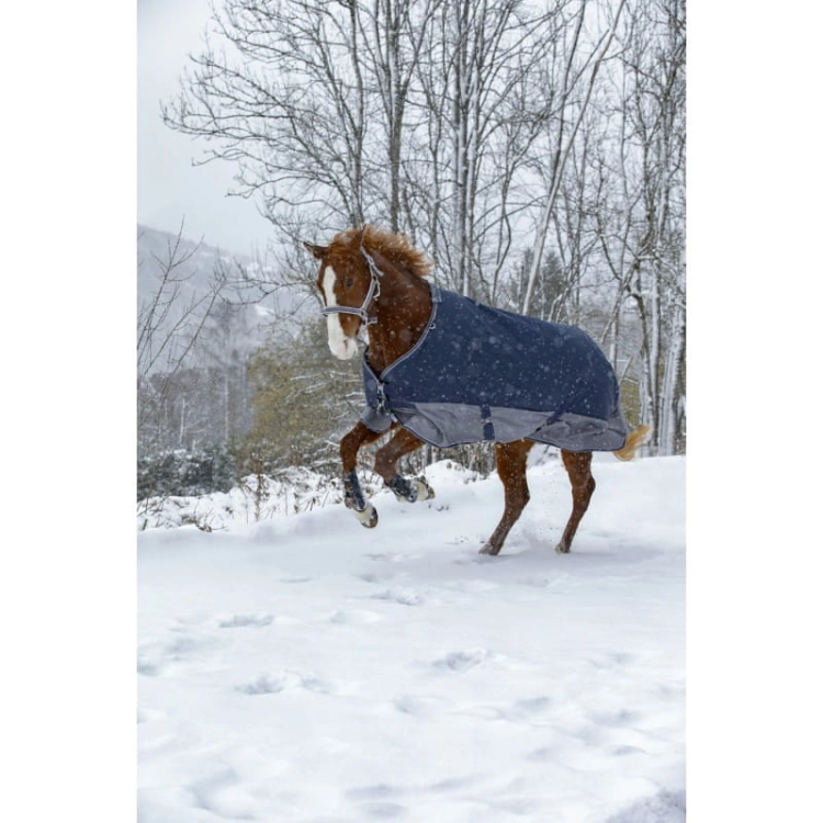 equitheme-tyrex-600-d-turnout-rug (8).jpg