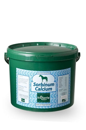 wapno z witaminą C St. Hippolyt Calcium Sorbinum