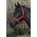Kantar nylonowy Riding World