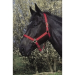 Kantar nylonowy Riding World 