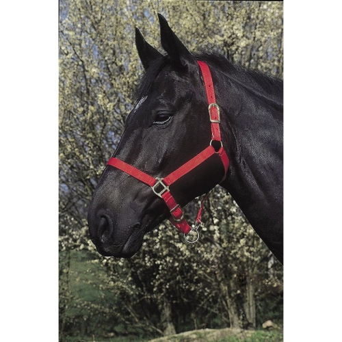 Kantar nylonowy Riding World