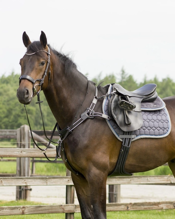 Ogłowie QHP Q-Cross Sedna