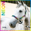 Kantar Fair Play Neon