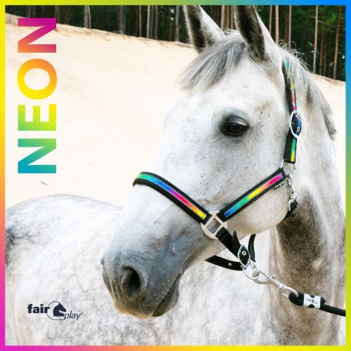 Kantar Fair Play Neon